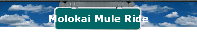  Molokai Mule Ride 